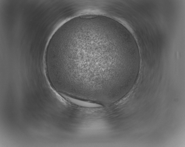 X0000056341056200509091525
