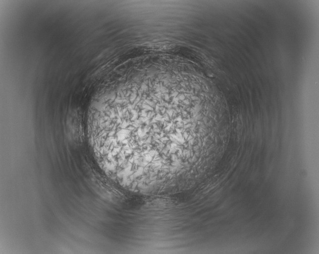 X0000056341058200509091524