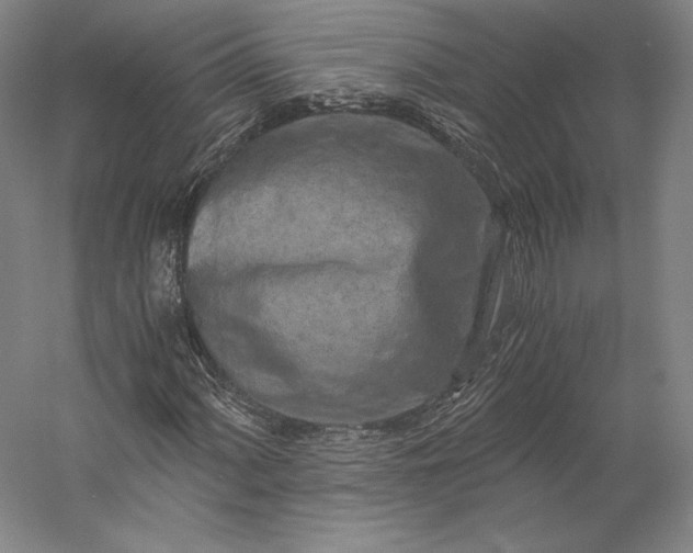 X0000056341060200509091524