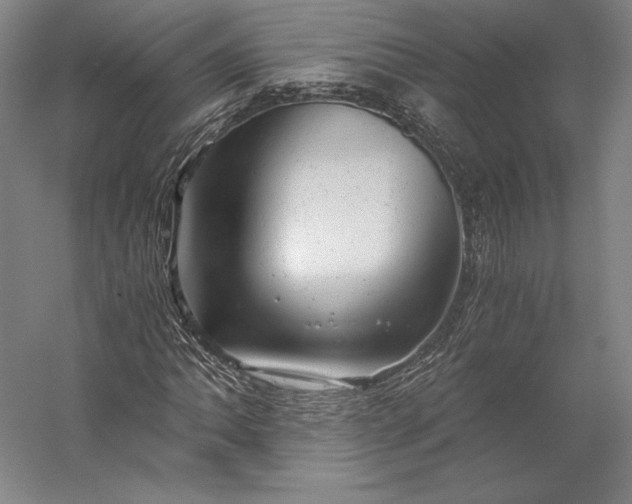 X0000056341062200509091524