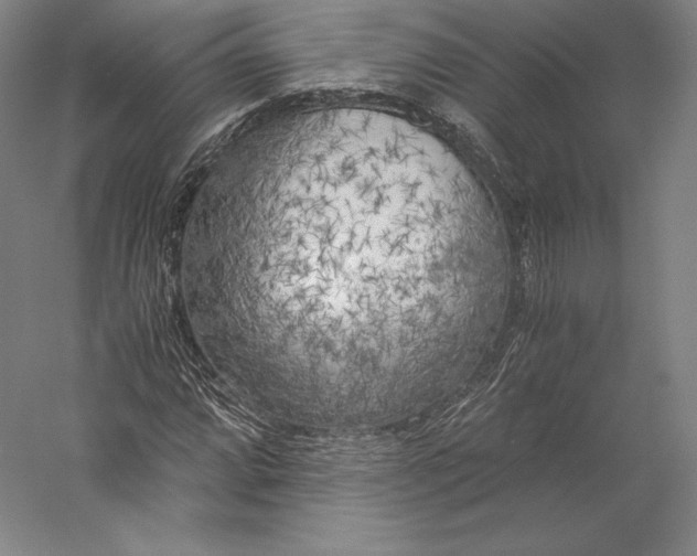 X0000056341064200509091524