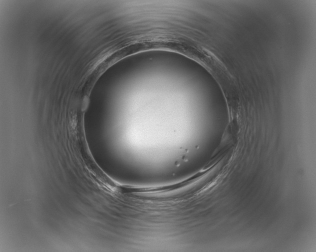 X0000056341065200509091524