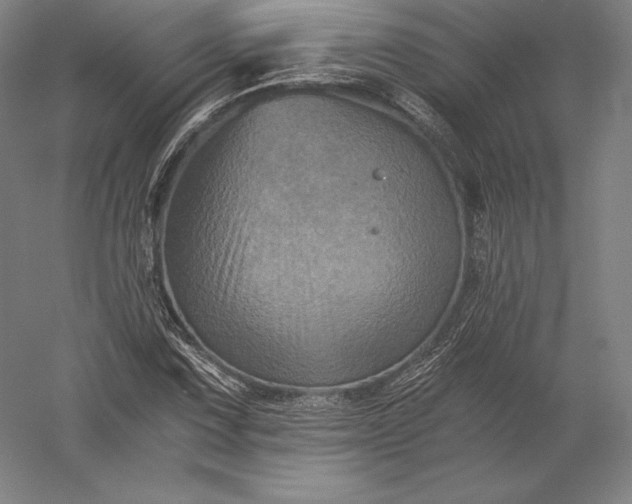 X0000056341067200509091524