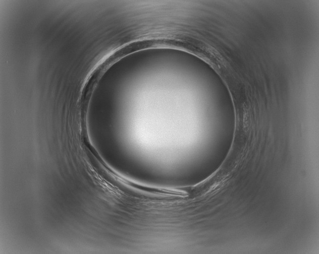 X0000056341069200509091524