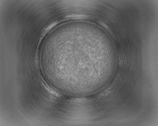 X0000056341074200509091524