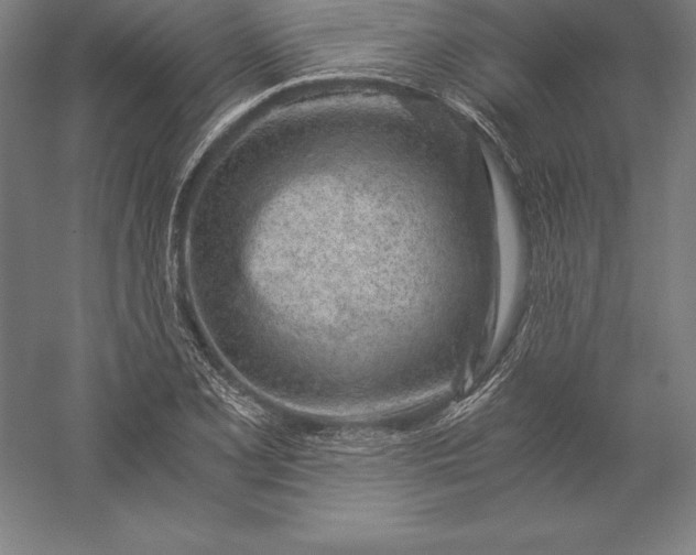 X0000056341077200509091524