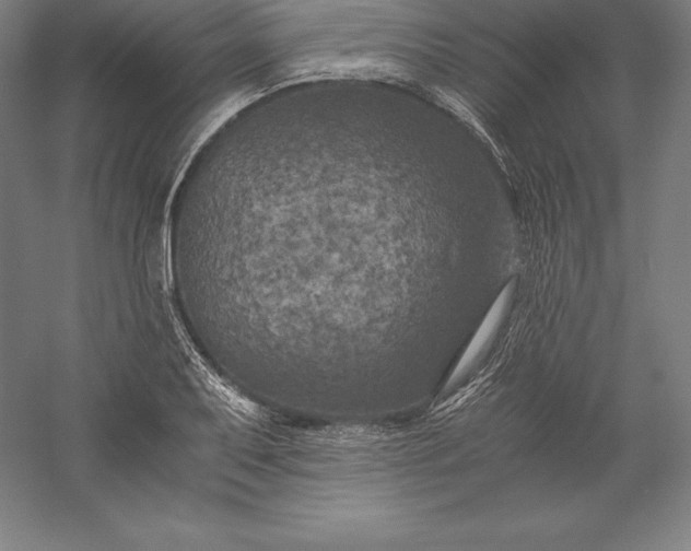 X0000056341079200509091524