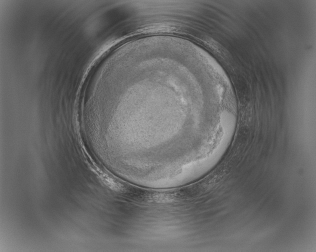 X0000056341086200509091524