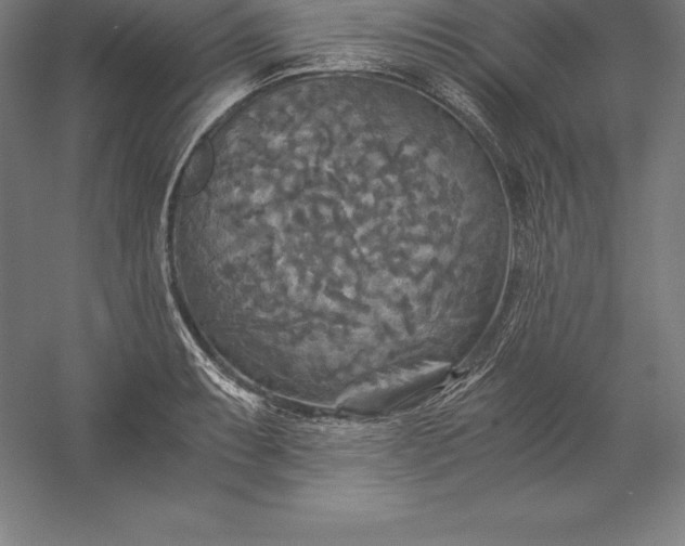X0000056341087200509091524