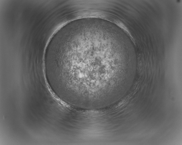 X0000056341088200509091524