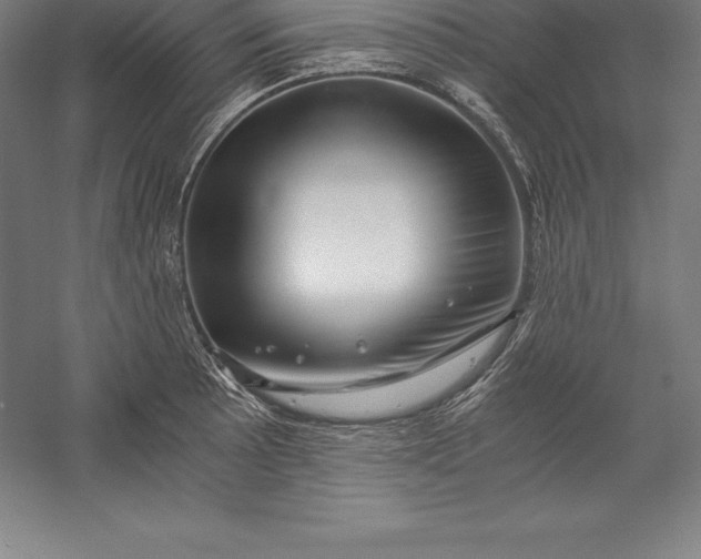 X0000056341089200509091524