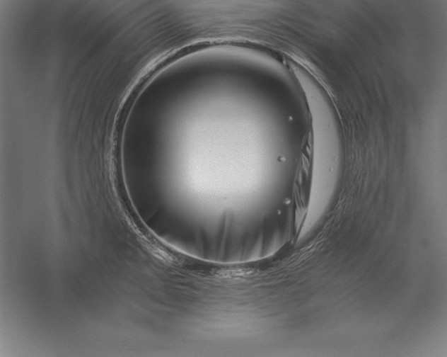 X0000056341093200509091524