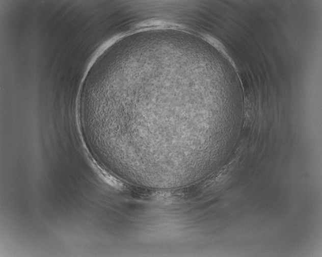 X0000056341098200509091524