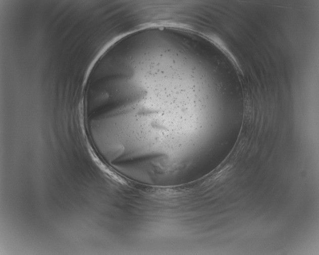 X0000056341100200509091524