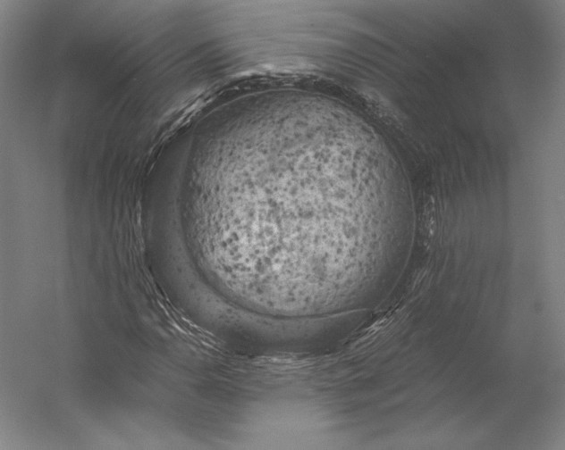 X0000056341110200509091523