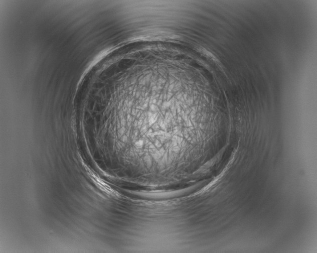 X0000056341114200509091523