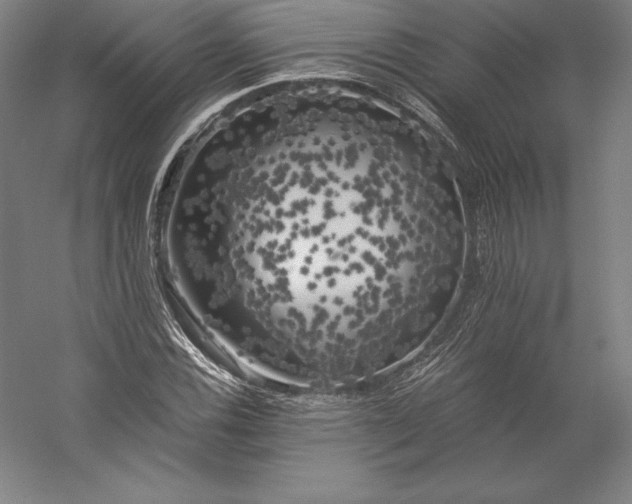 X0000056341116200509091523