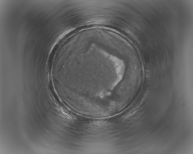 X0000056341117200509091523