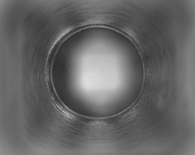 X0000056341119200509091523