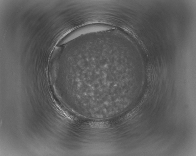 X0000056341121200509091523
