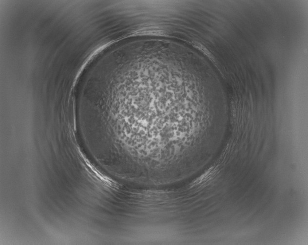 X0000056341123200509091523