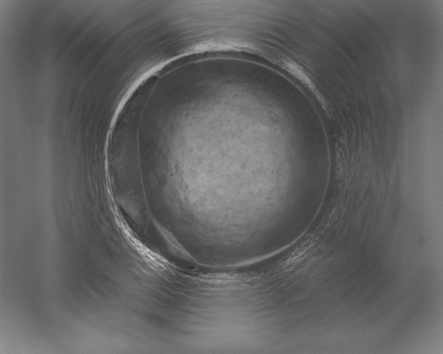 X0000056341124200509091523