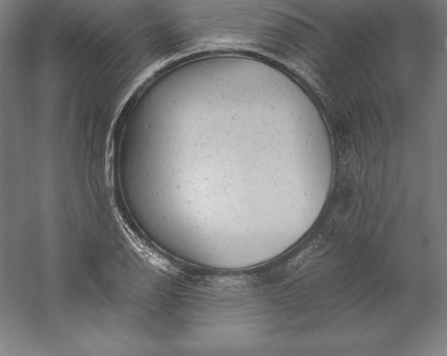 X0000056341126200509091523