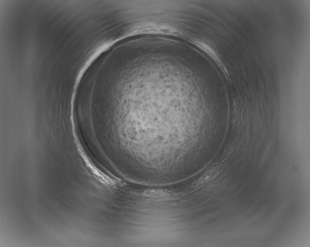 X0000056341128200509091523