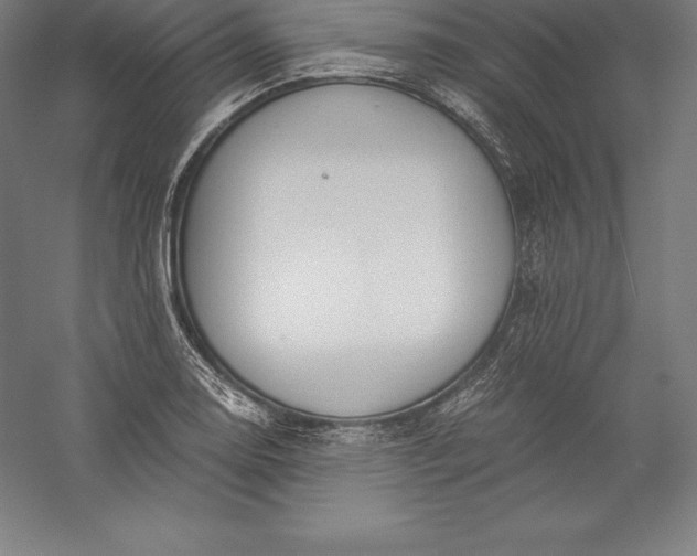 X0000056341130200509091523