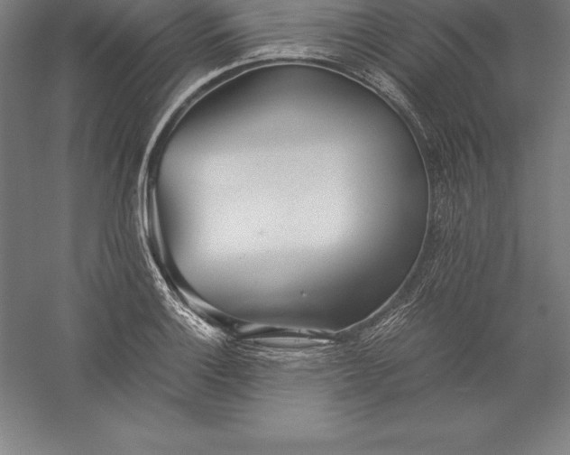 X0000056341132200509091523