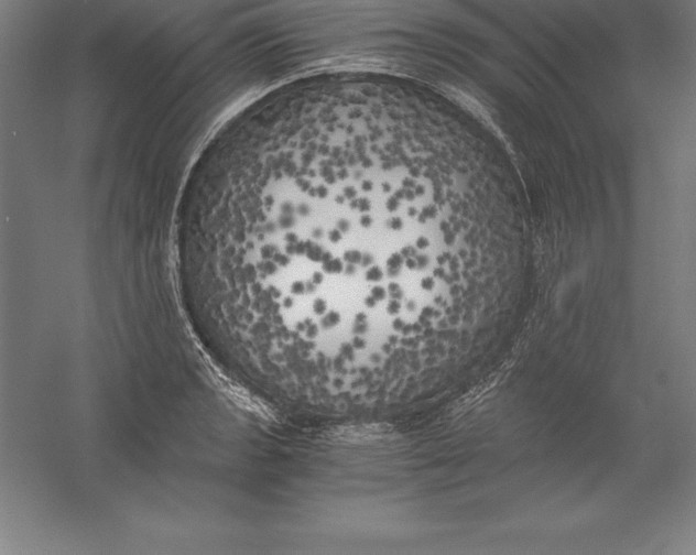 X0000056341133200509091523