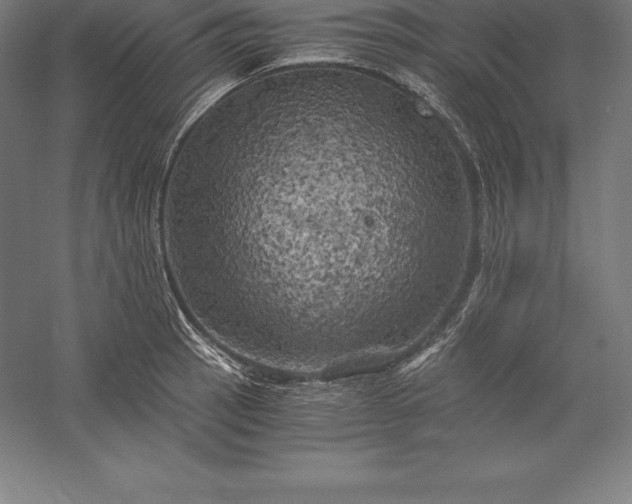 X0000056341137200509091523