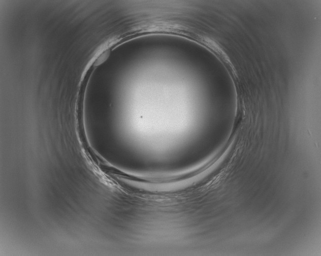 X0000056341138200509091523