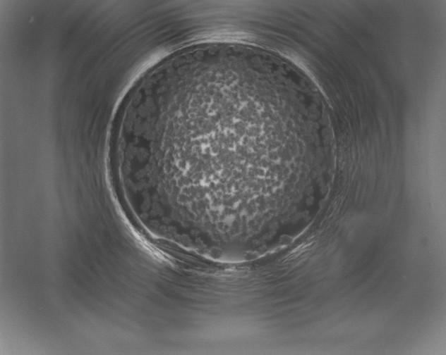X0000056341139200509091523