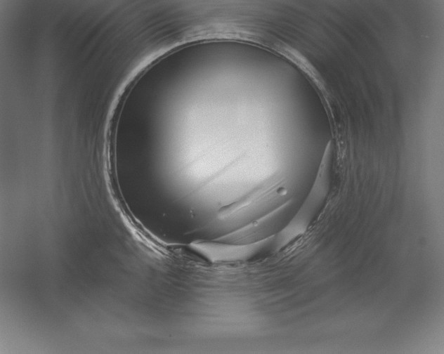 X0000056341144200509091523