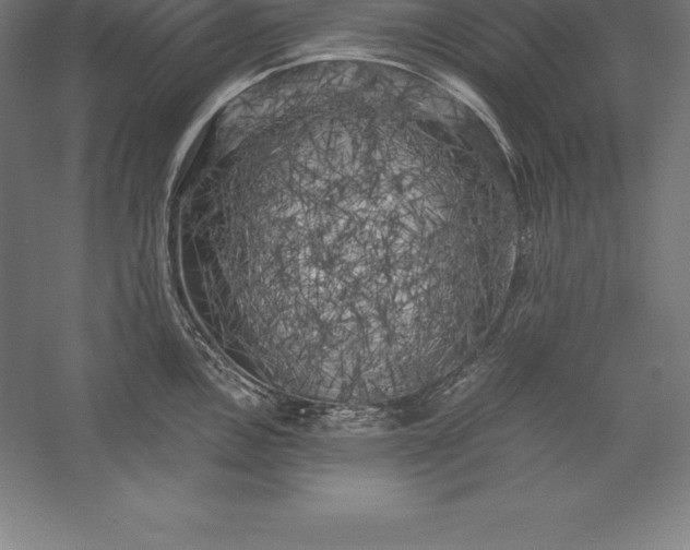 X0000056341146200509091523