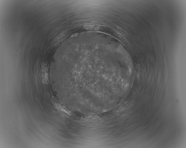X0000056341154200509091523