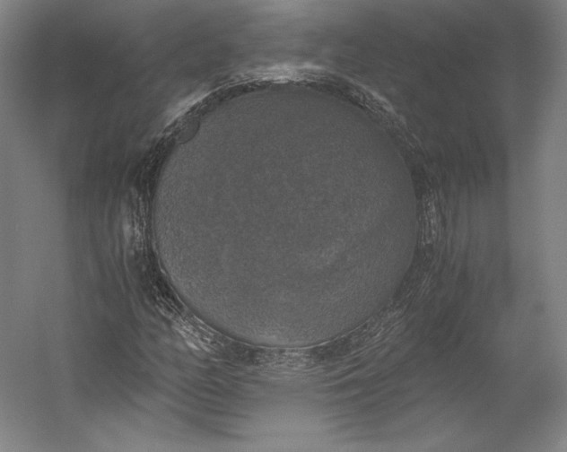X0000056341158200509091523