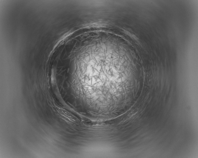 X0000056341160200509091523