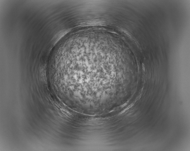X0000056341162200509091522