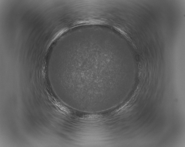 X0000056341163200509091522