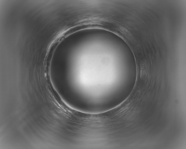 X0000056341164200509091522