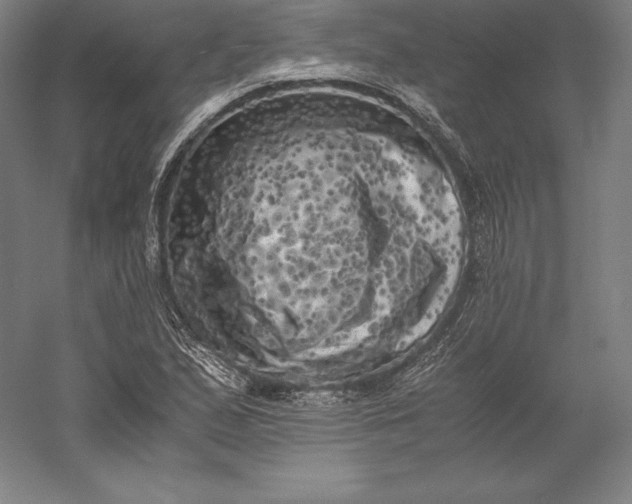 X0000056341167200509091522