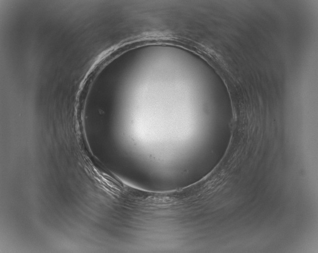 X0000056341168200509091522