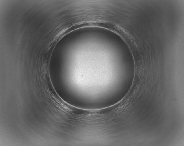X0000056341169200509091522