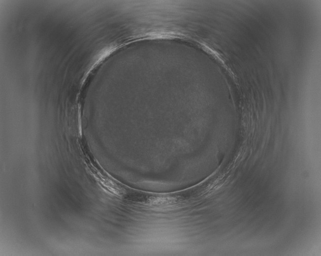 X0000056341171200509091522