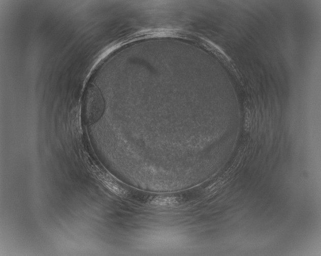 X0000056341174200509091522
