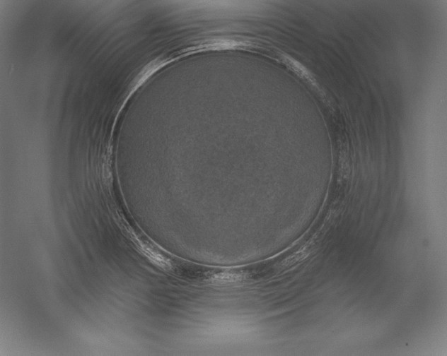 X0000056341178200509091522