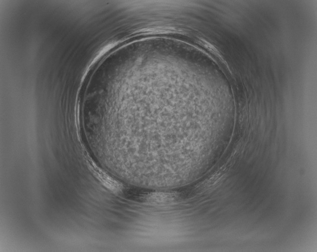 X0000056341179200509091522