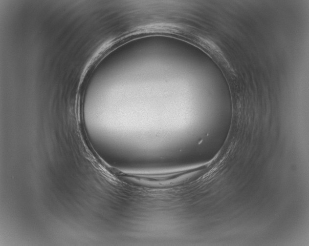 X0000056341180200509091522